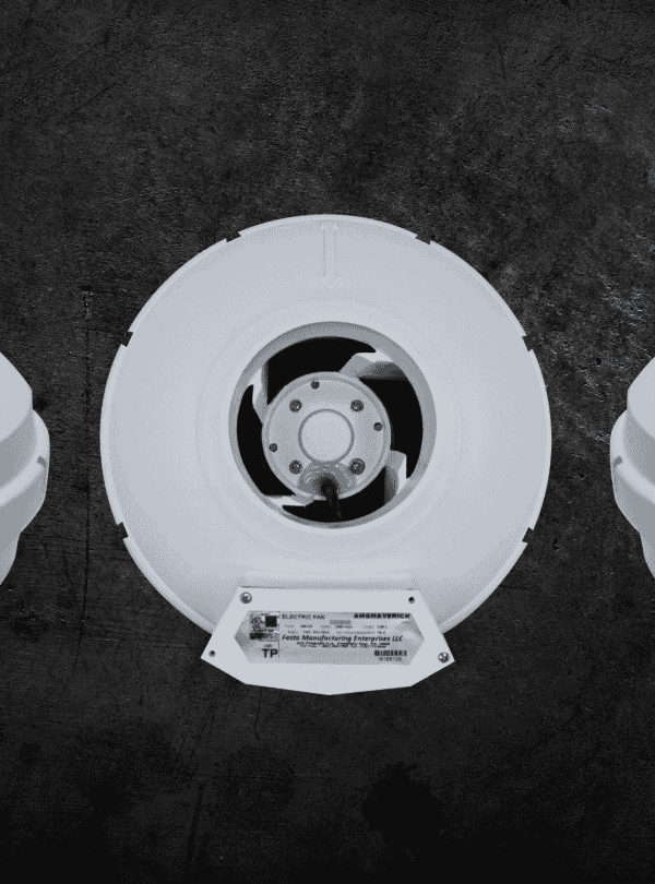 Untitled-design-1-copy-4-qphz5x5ls996t6ik9yd1u91lr7twckhlnxke4dkrl0